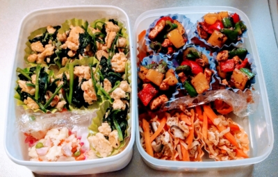 節約作り置き弁当 第1弾 ポイ活ゆる節約生活 節約作り置き弁当 第1弾 ポイ活ゆる節約生活